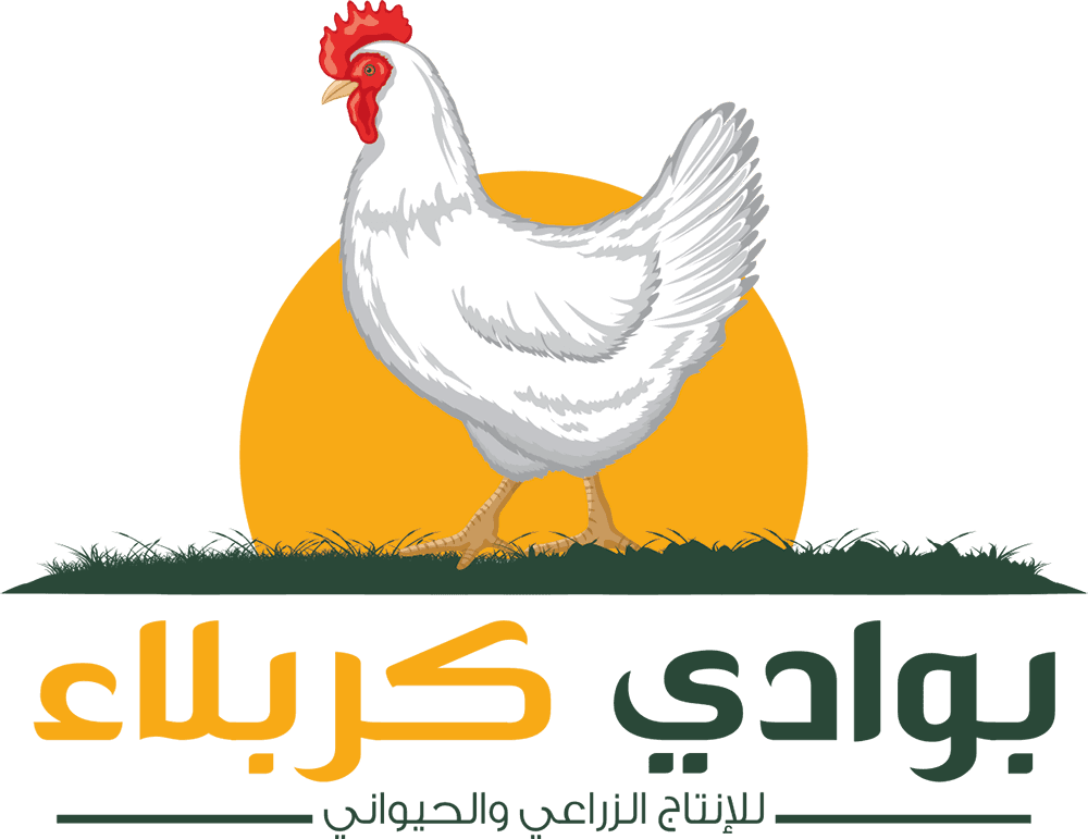بوادي كربلاء